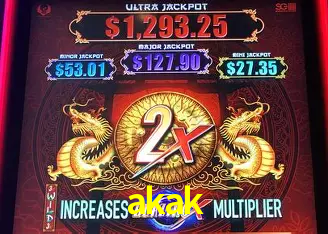 akak Rio de Janeiro - Professional Dealers